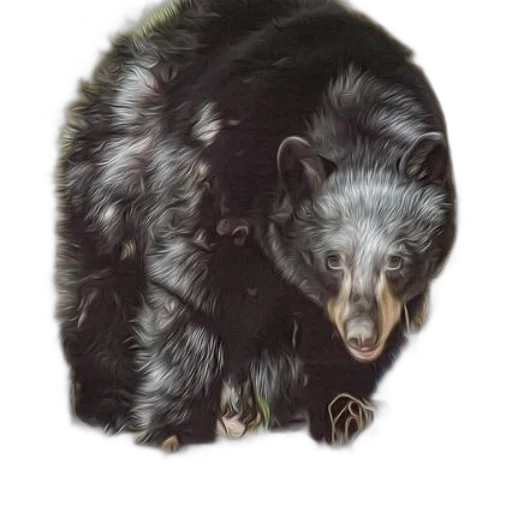 animal, creature, jacket, jewelry transparent PNG cut-out