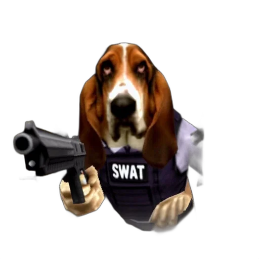 weapon, animal, staff, jacket transparent PNG cut-out