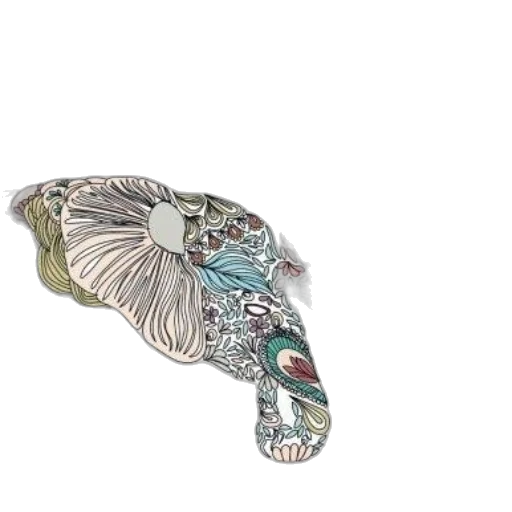 shoes, jewelry, umbrella, hat transparent PNG cut-out