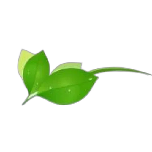 flower, staff, crown, weapon transparent PNG cut-out