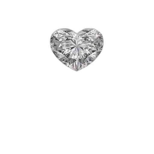 jewelry, crown, flower, jacket transparent PNG cut-out
