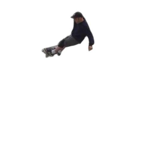 creature, animal, shoes, car transparent PNG cut-out