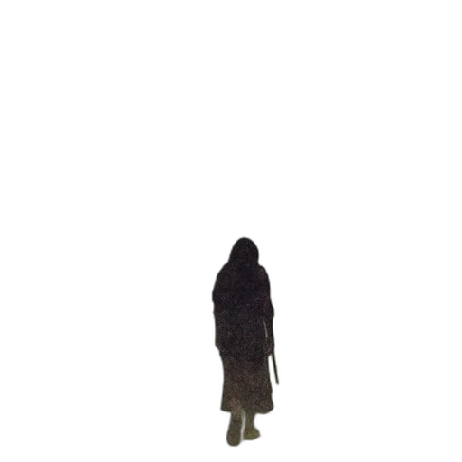 dress, jacket, staff, creature transparent PNG cut-out