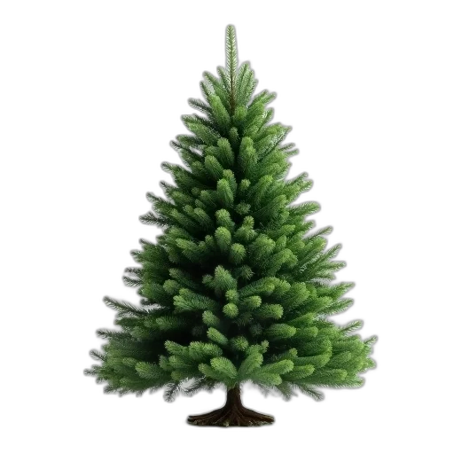 tree, crown, animal, hat transparent PNG cut-out
