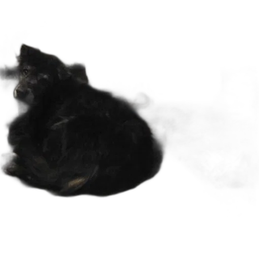 animal, creature, hair, dragon transparent PNG cut-out