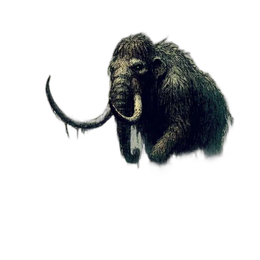 animal, creature, hair, staff transparent PNG cut-out