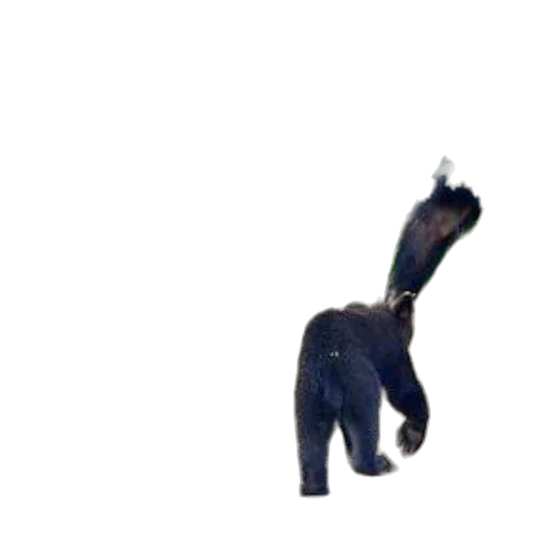 animal, creature, staff, dragon transparent PNG cut-out