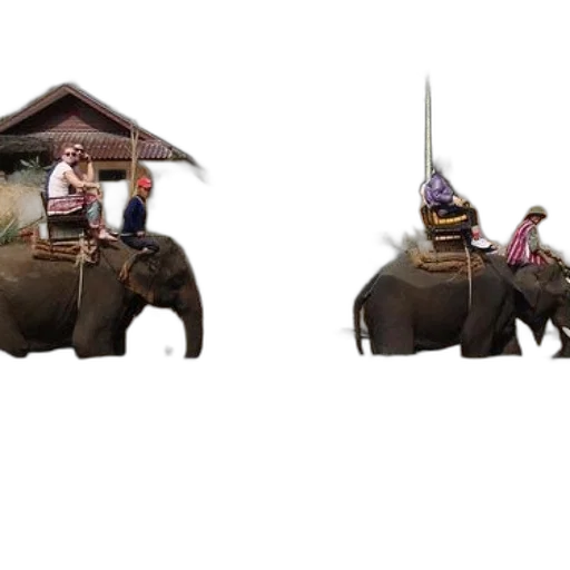 umbrella, animal, hat, car transparent PNG cut-out