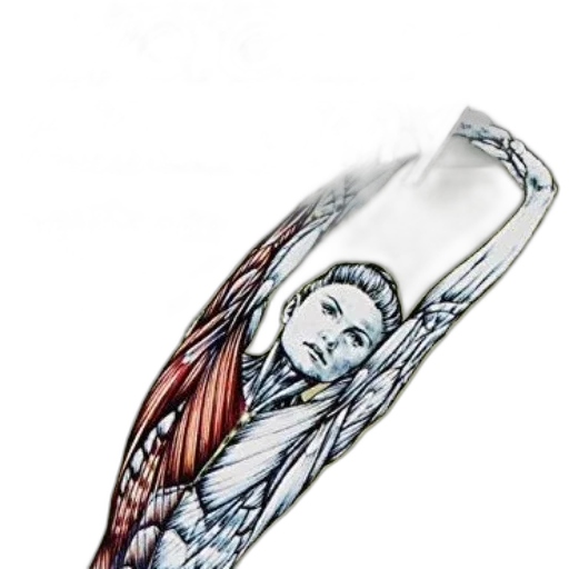 bottle, jewelry, sword, photorealistic transparent PNG cut-out