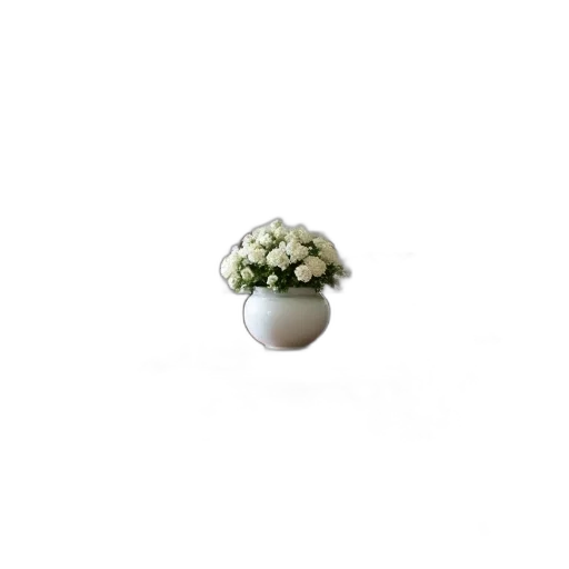 flower, crown, jewelry, hat transparent PNG cut-out