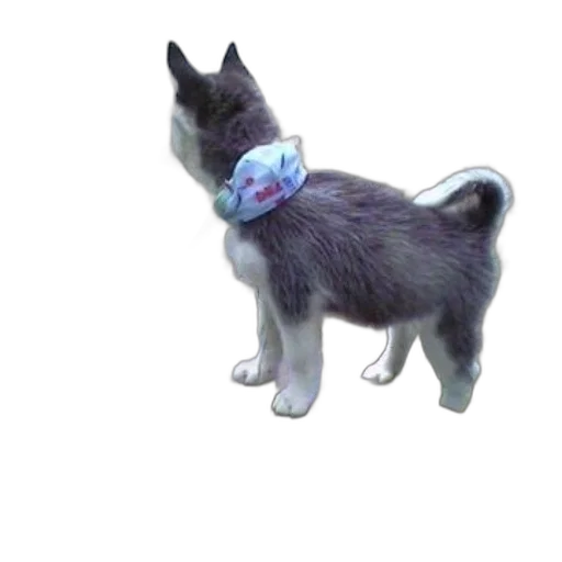 staff, animal, creature, 3d render transparent PNG cut-out