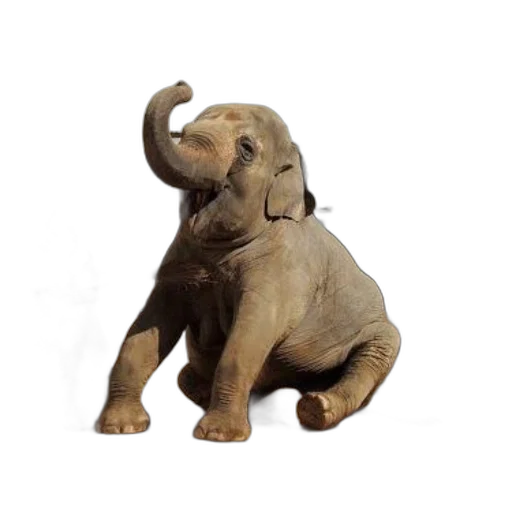 animal, creature, staff, 3d render transparent PNG cut-out