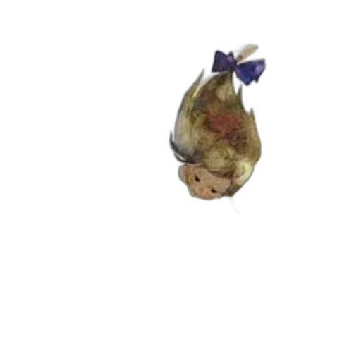food, animal, flower, crown transparent PNG cut-out