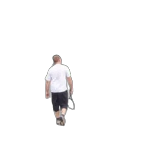 staff, robot, creature, animal transparent PNG cut-out