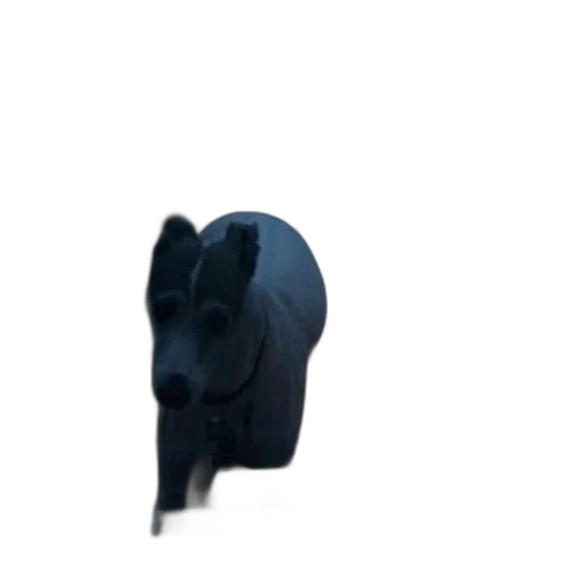 mask, umbrella, animal, hat transparent PNG cut-out