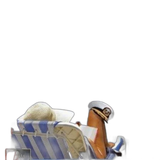 hat, furniture, animal, car transparent PNG cut-out