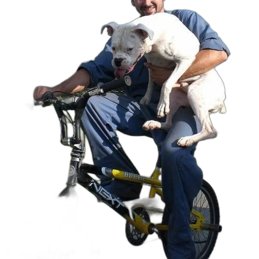animal, staff, creature, robot transparent PNG cut-out