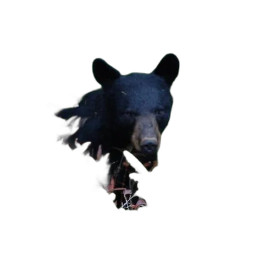 animal, creature, staff, weapon transparent PNG cut-out