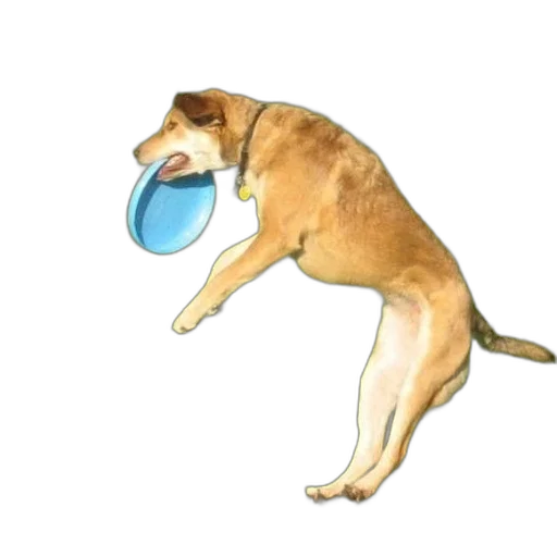animal, bottle, watercolor, concept art transparent PNG cut-out