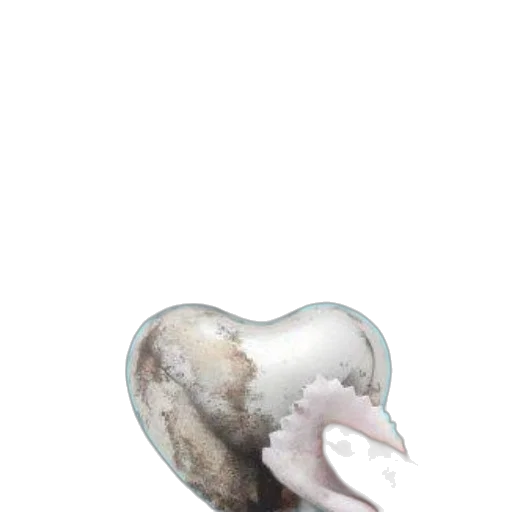 hair, food, creature, jewelry transparent PNG cut-out