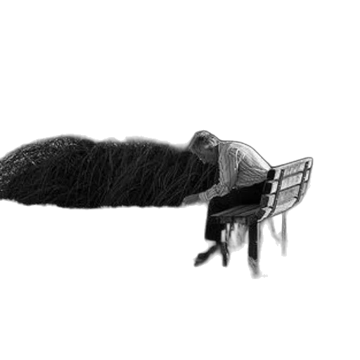 hair, furniture, animal, creature transparent PNG cut-out