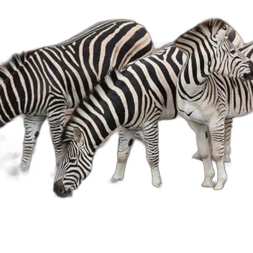animal, creature, 3d render, photorealistic transparent PNG cut-out