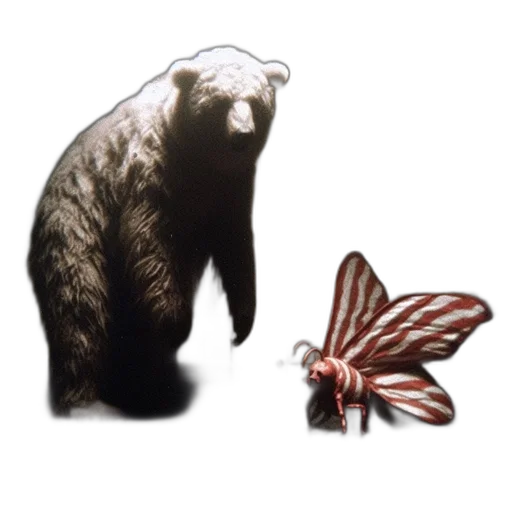 animal, creature, food, jewelry transparent PNG cut-out