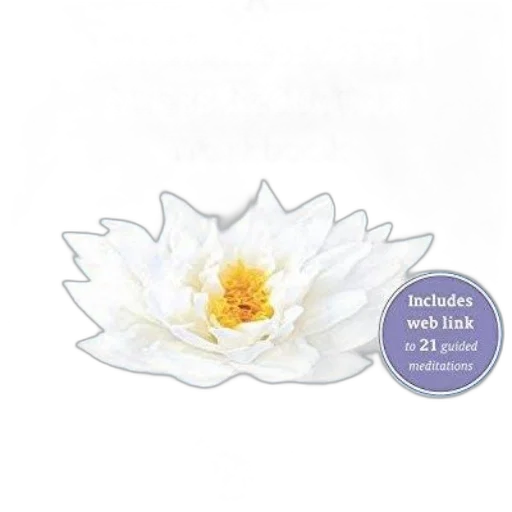 flower, jewelry, crown, mindfulness-based transparent PNG cut-out