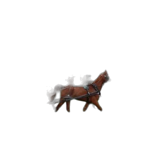 animal, furniture, weapon, creature transparent PNG cut-out