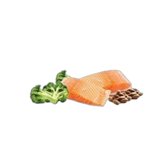 food, animal, photorealistic, 3d render transparent PNG cut-out
