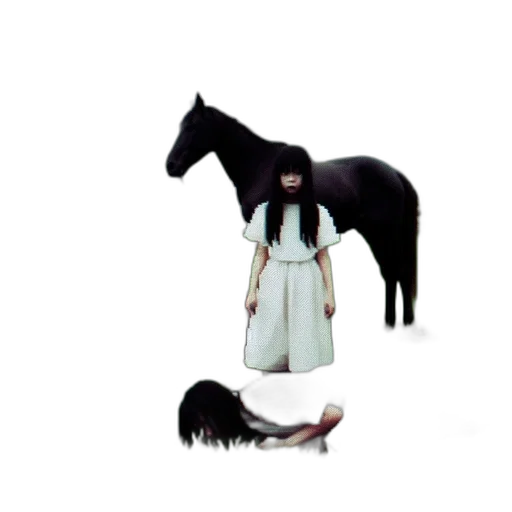 animal, creature, dress, hair transparent PNG cut-out