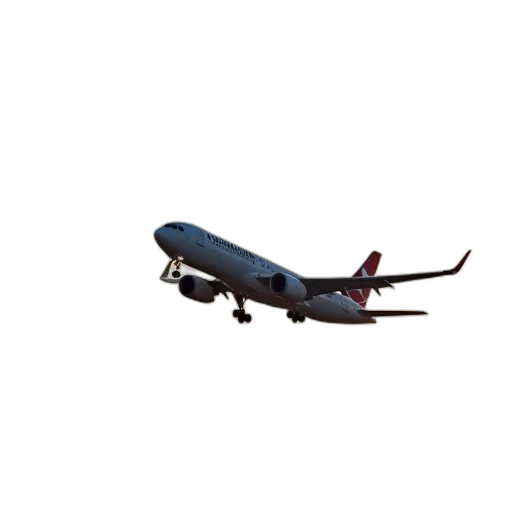 staff, animal, car, 3d render transparent PNG cut-out