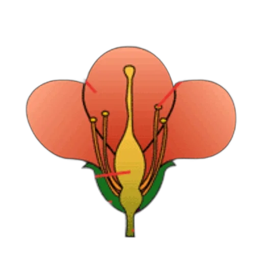 flower, crown, staff, jewelry transparent PNG cut-out