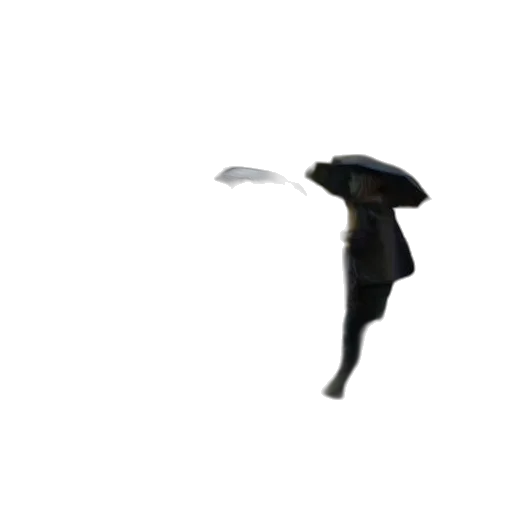 umbrella, staff, hat, shoes transparent PNG cut-out