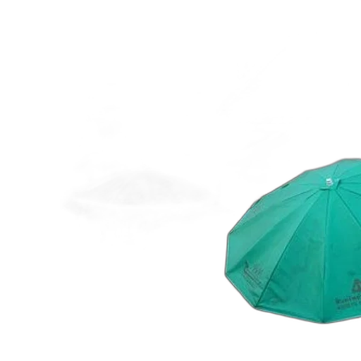 umbrella, hat, jacket, staff transparent PNG cut-out