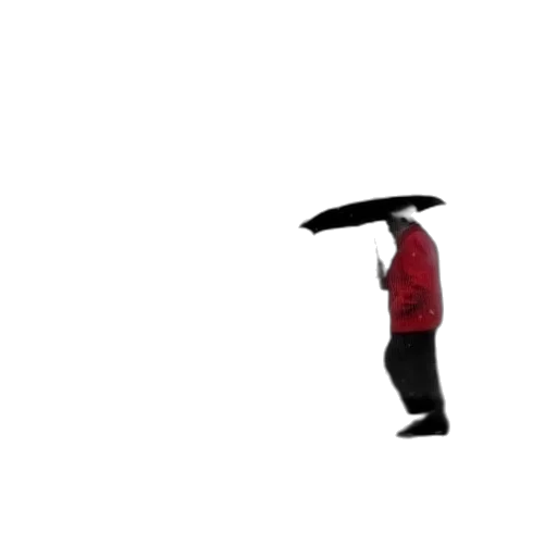 umbrella, staff, hat, jacket transparent PNG cut-out