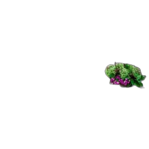 jewelry, flower, animal, food transparent PNG cut-out