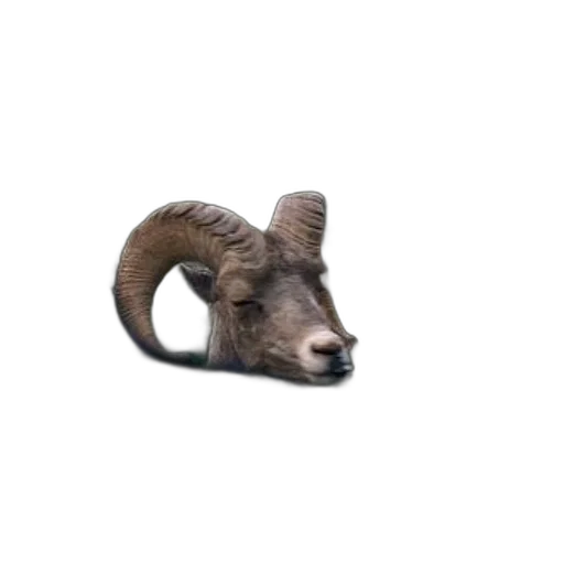 animal, creature, staff, weapon transparent PNG cut-out