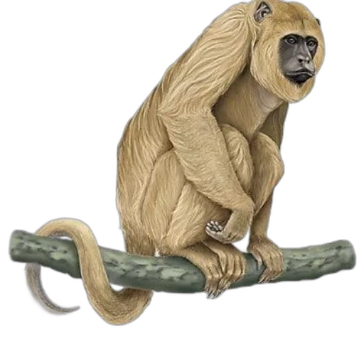 staff, animal, jewelry, weapon transparent PNG cut-out