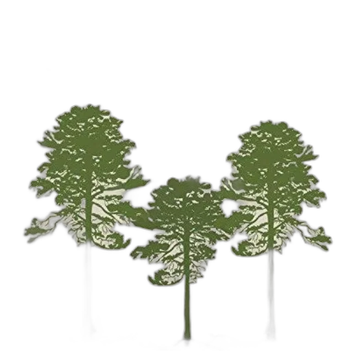 tree, crown, 3d render, concept art transparent PNG cut-out
