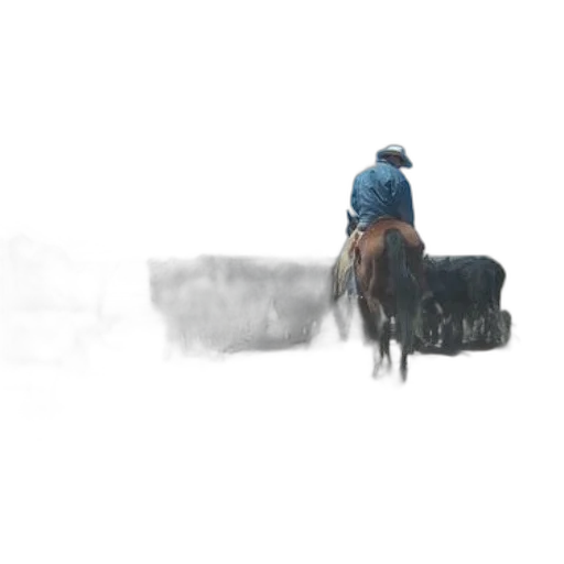 animal, hat, jacket, robot transparent PNG cut-out