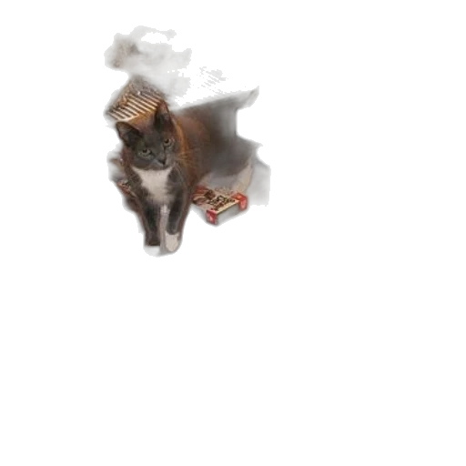dragon, creature, food, animal transparent PNG cut-out