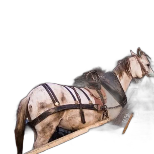 animal, mask, staff, sword transparent PNG cut-out