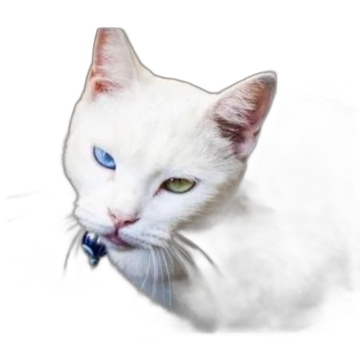 animal, staff, creature, face transparent PNG cut-out