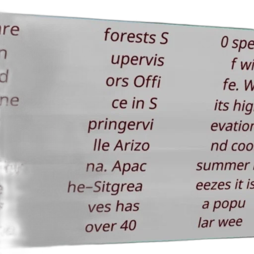 forest, sign, apache-sitgreaves, national transparent PNG cut-out