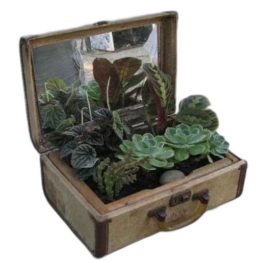 furniture, vintage, suitcase, filled transparent PNG cut-out