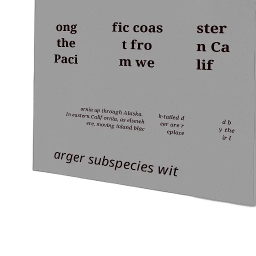 outer space, forest, fog, poster transparent PNG cut-out