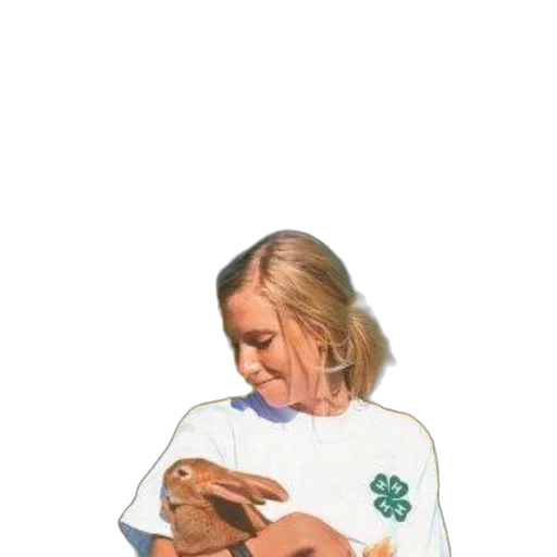 staff, animal, rabbit, book transparent PNG cut-out