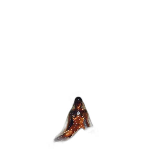 animal, creature, hair, jewelry transparent PNG cut-out