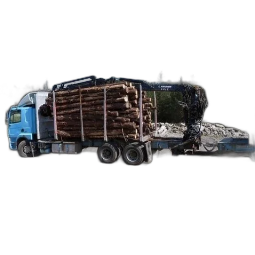 car, weapon, furniture, tree transparent PNG cut-out
